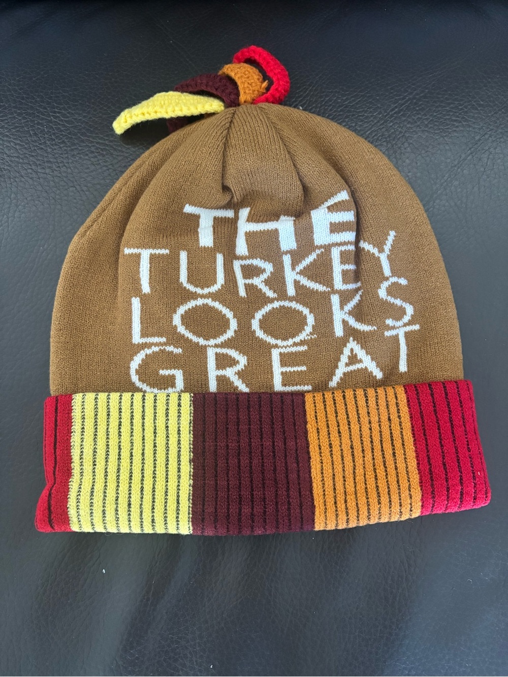Turkey Pom-Pom Beanie Hat - pick 1 - Picture 7 of 7